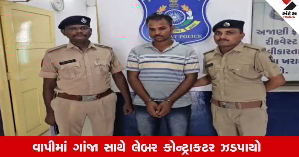 Vapiમાં 14 કિલોથી વધુના ગાંજા સાથે લેબર કોન્ટ્રાકટર ઝડપાયો, થયા અનેક ખુલાસા