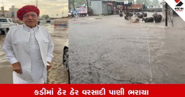 Mehsana: કડીમાં ઠેર ઠેર વરસાદી પાણી ભરાયા, લોકોને ભારે હાલાકી