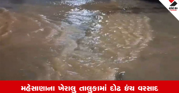 Mehsanaના ખેરાલુ તાલુકામાં દોઢ ઇંચ વરસાદ ખાબકયો, ખેતરોમાં ભરાયા પાણી