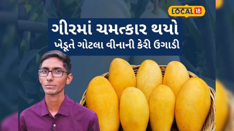 ગોટલા વીનાની કેરી સિંધુ 117 – Seedless Mango Sindhu 117