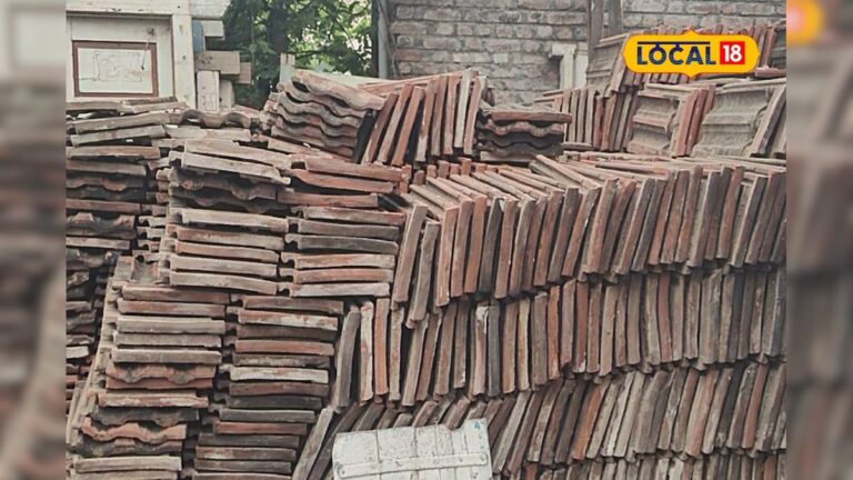 નળિયા અને વાંસની માંગમાં થયો વધારો – Demand for naliya and bamboo increased