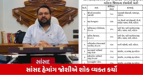 Ahmedabad Plane Crash: વડોદરાના 19 મુસાફર હતા સવાર, વાંચો લિસ્ટ