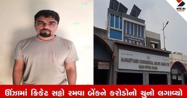 Mehsanaના ઊંઝામાં ક્રિકેટ સટ્ટો રમવા બેંકને કરોડોનો ચુનો લગાવનાર કેશિયર ઝડપાયો