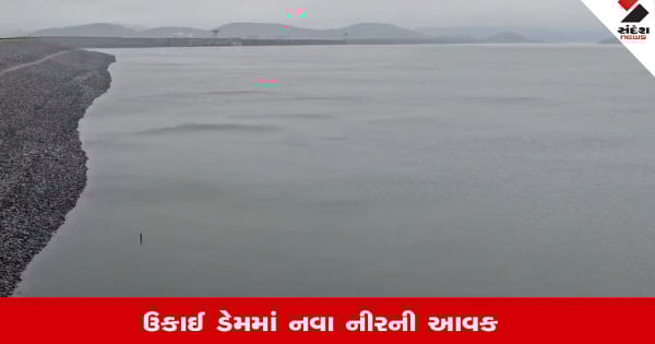 Tapi Rain News: સાર્વત્રિક વરસાદથી ઉકાઇ ડેમમાં 33,368 ક્યુસેક પાણીની આવક