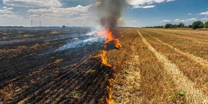 Crop-Residue-Management.jpg