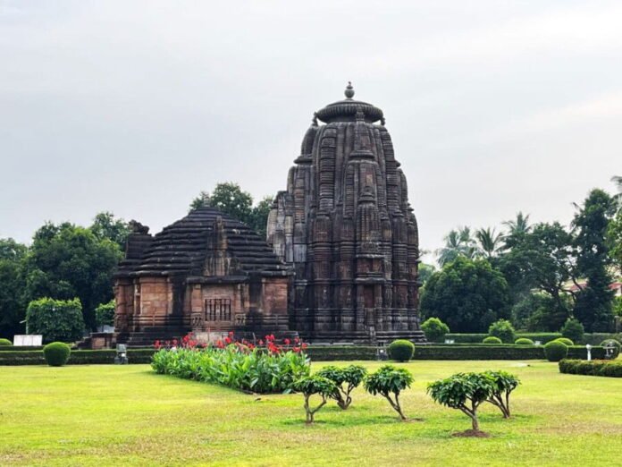 Internship-Experience-@-Adv-Deep-Kumar-Mohanty-Bhubaneswar.jpg